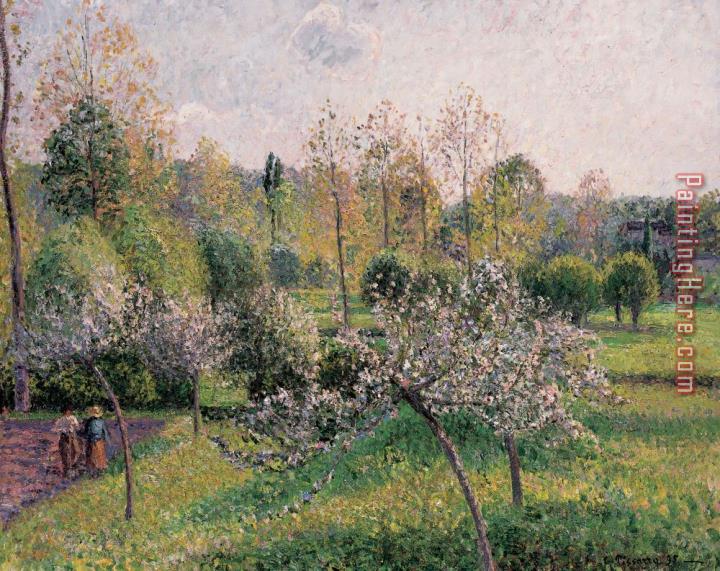 Camille Pissarro Apple Trees In Blossom